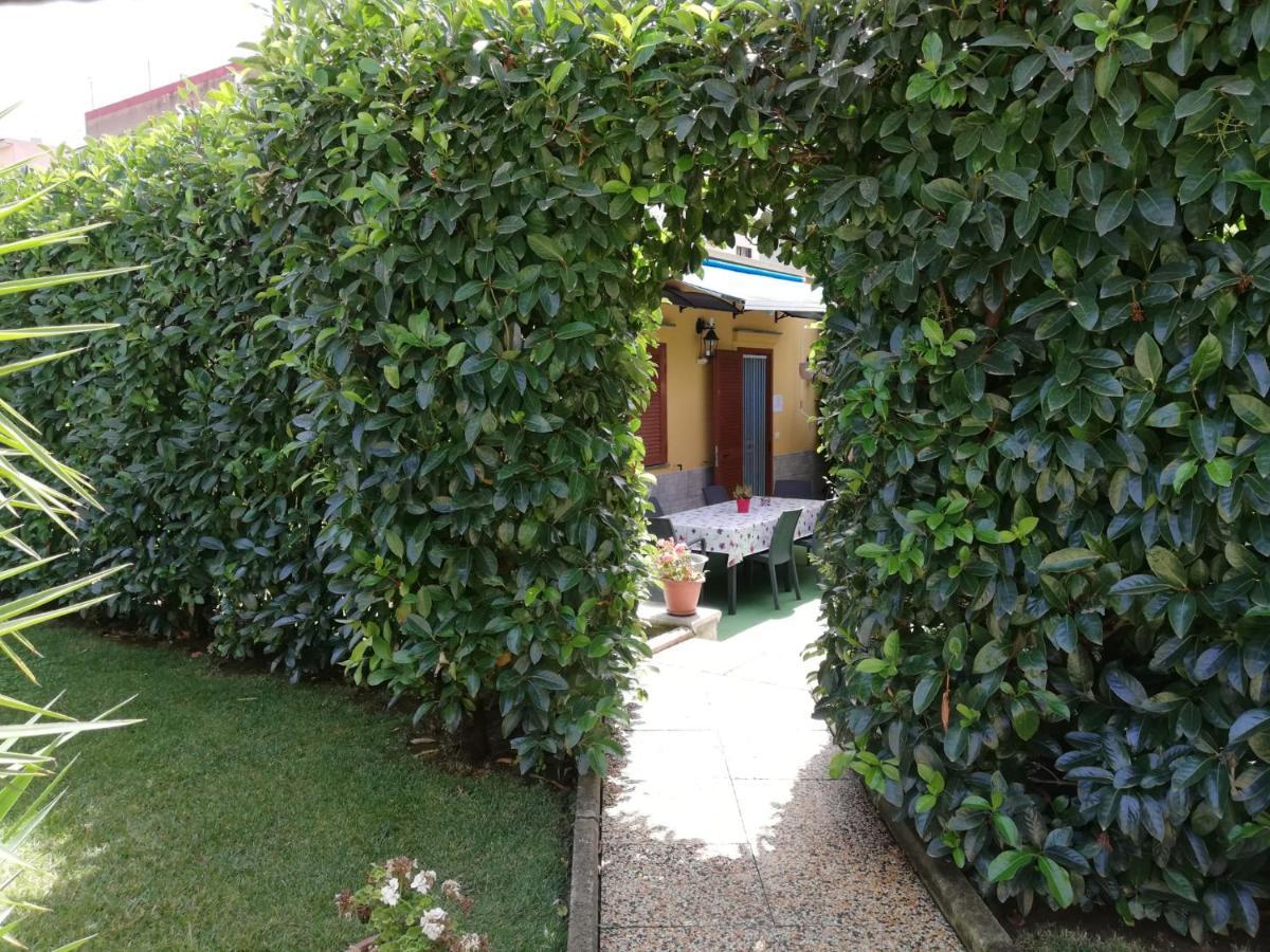 Depandance Con Piscina In Uso In Esclusivo In B&B 圣安东尼阿巴特 外观 照片